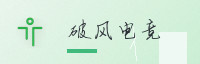 合作伙伴